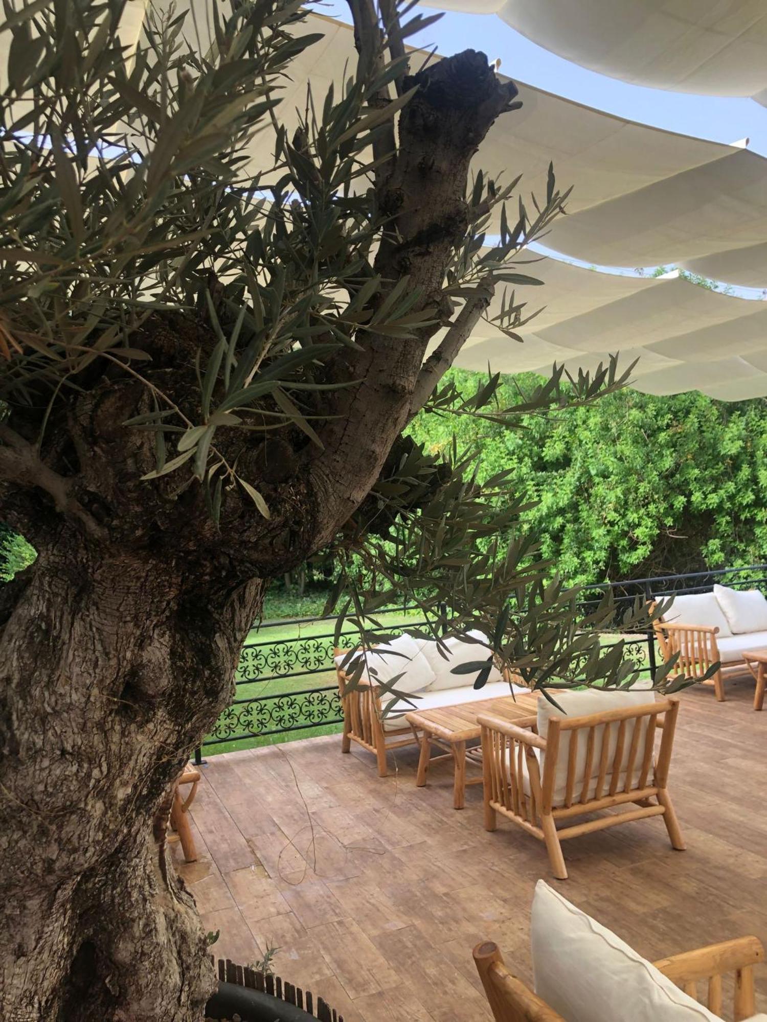 Hotel Alicante Golf Екстериор снимка